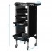 Hairdressing Trolley GABBIANO FX11-2 Black